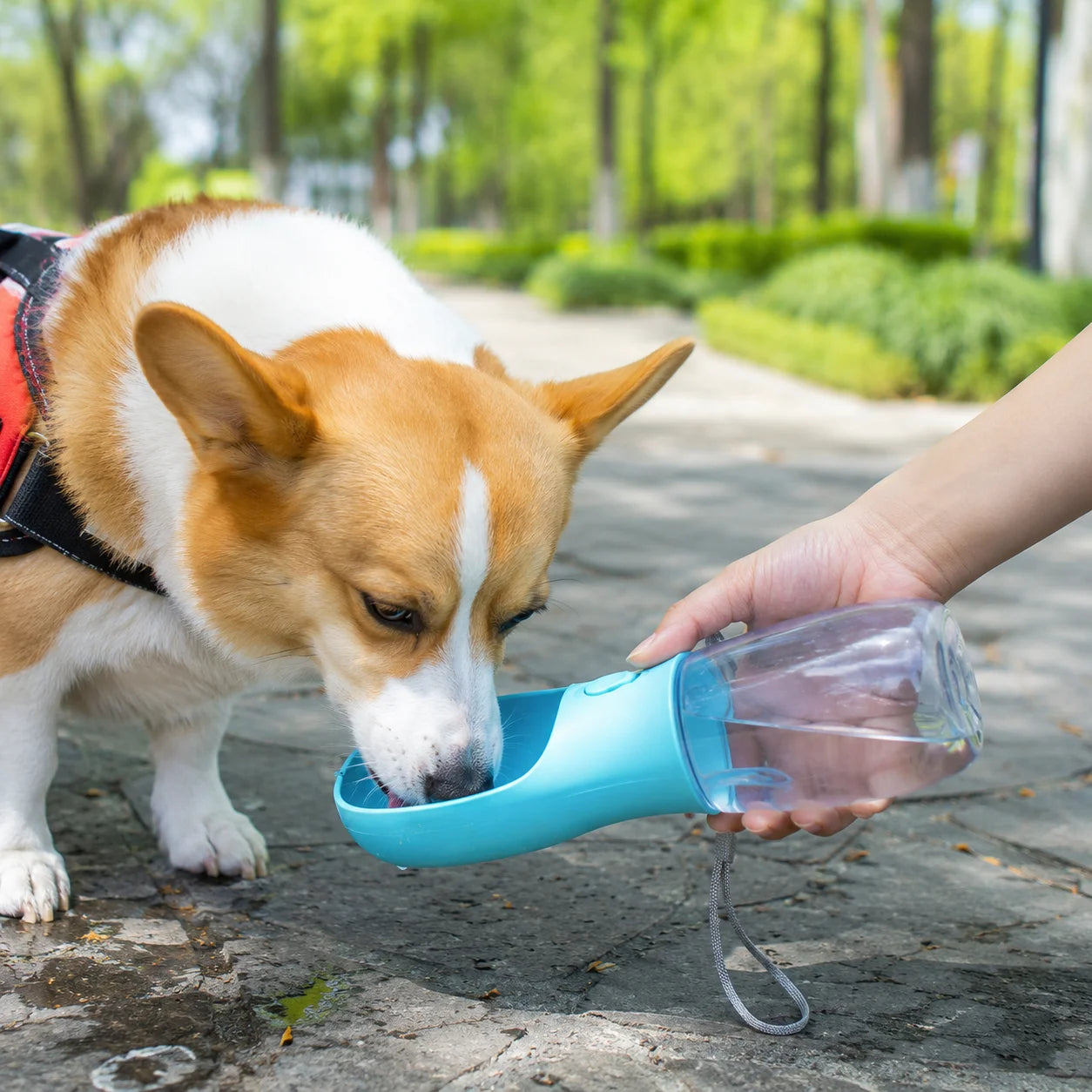 3 In 1 Portable Pet Water Bottle With Food Dispenser