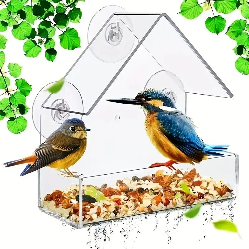 Durable Acrylic Window Mount Bird Feeder For Backyard Birds The Pet & Home Store