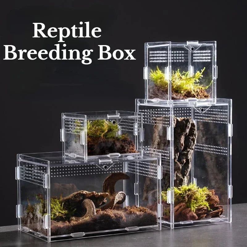 Acrylic Reptile Breeding Box Terrarium Enclosure Transparent