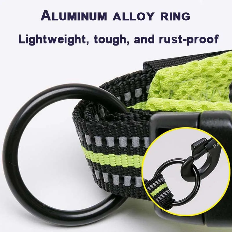 Dog Walking Collar Comfort Padded The Pet & Home Store