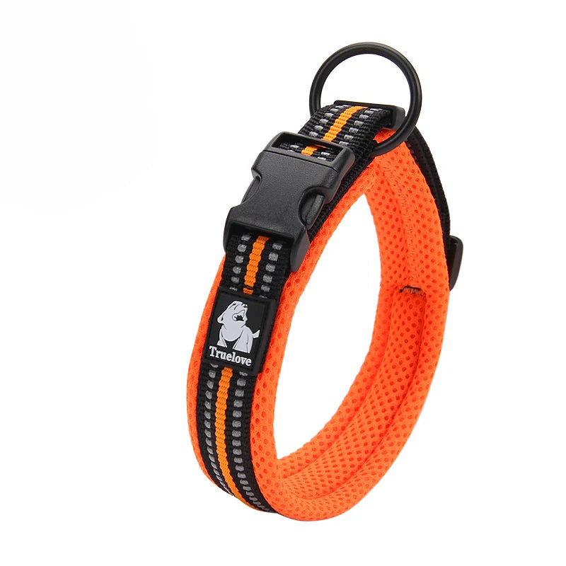 Dog Walking Collar Comfort Padded The Pet & Home Store
