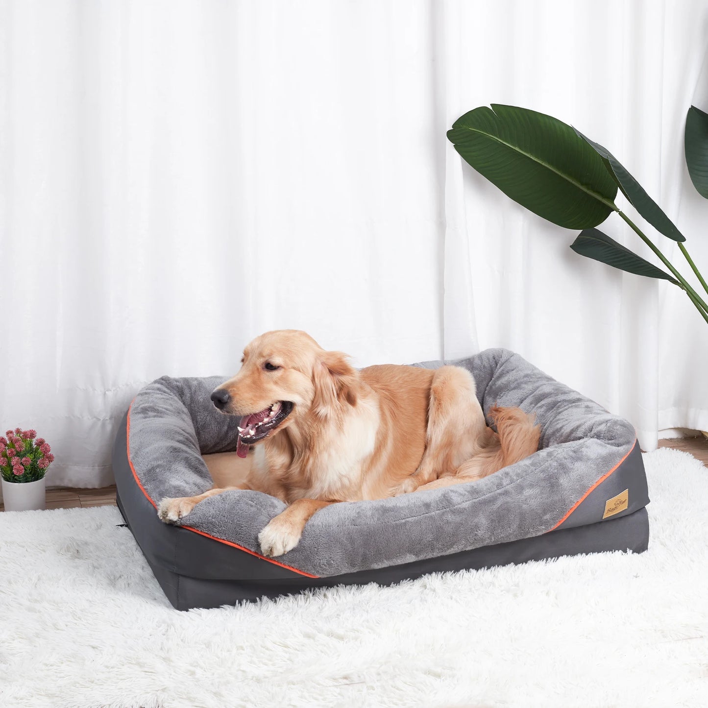 BINGOPAW Large Dog Bed With Removable Washable Cover