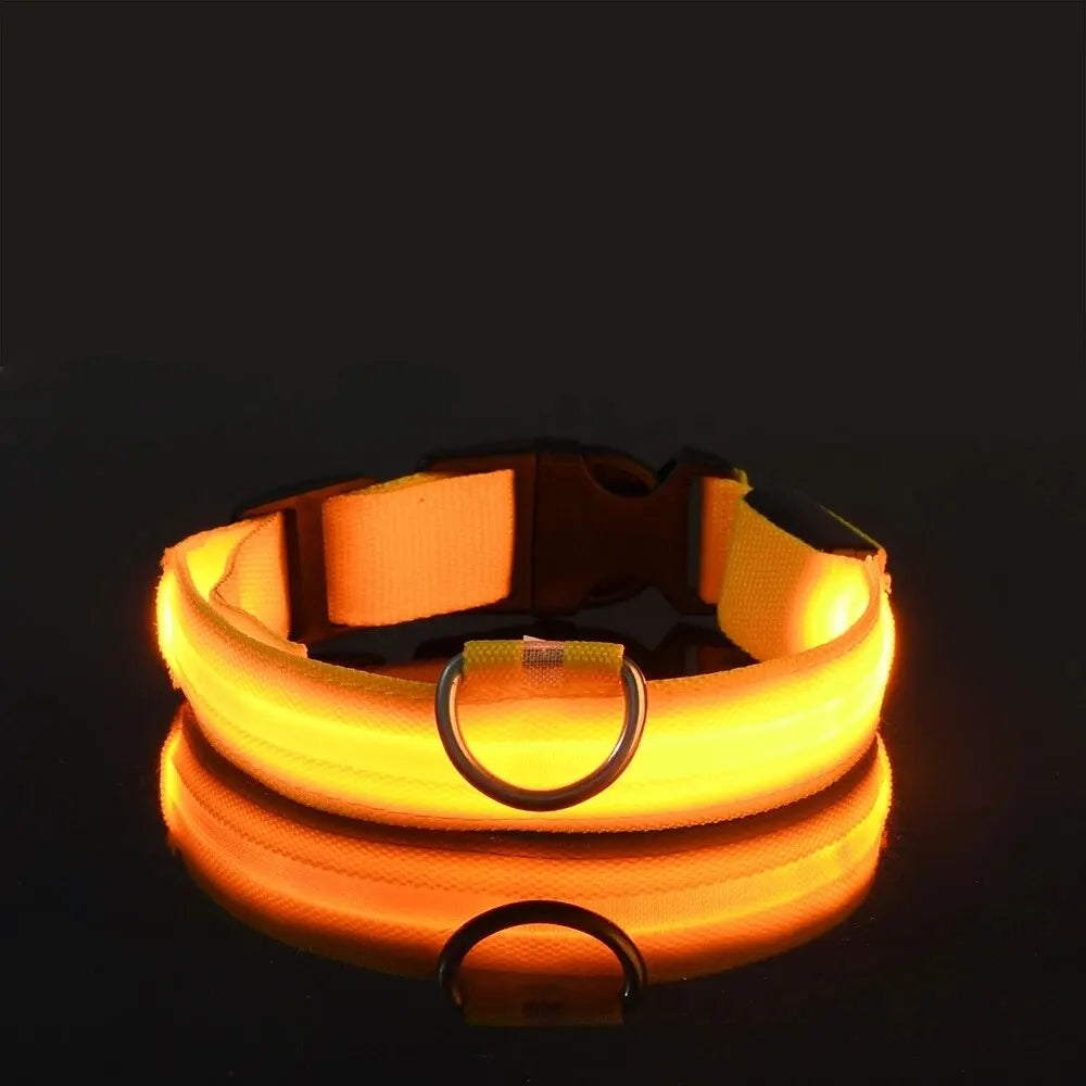 Nylon LED Night Safety Leash And Glow Collar For Pets