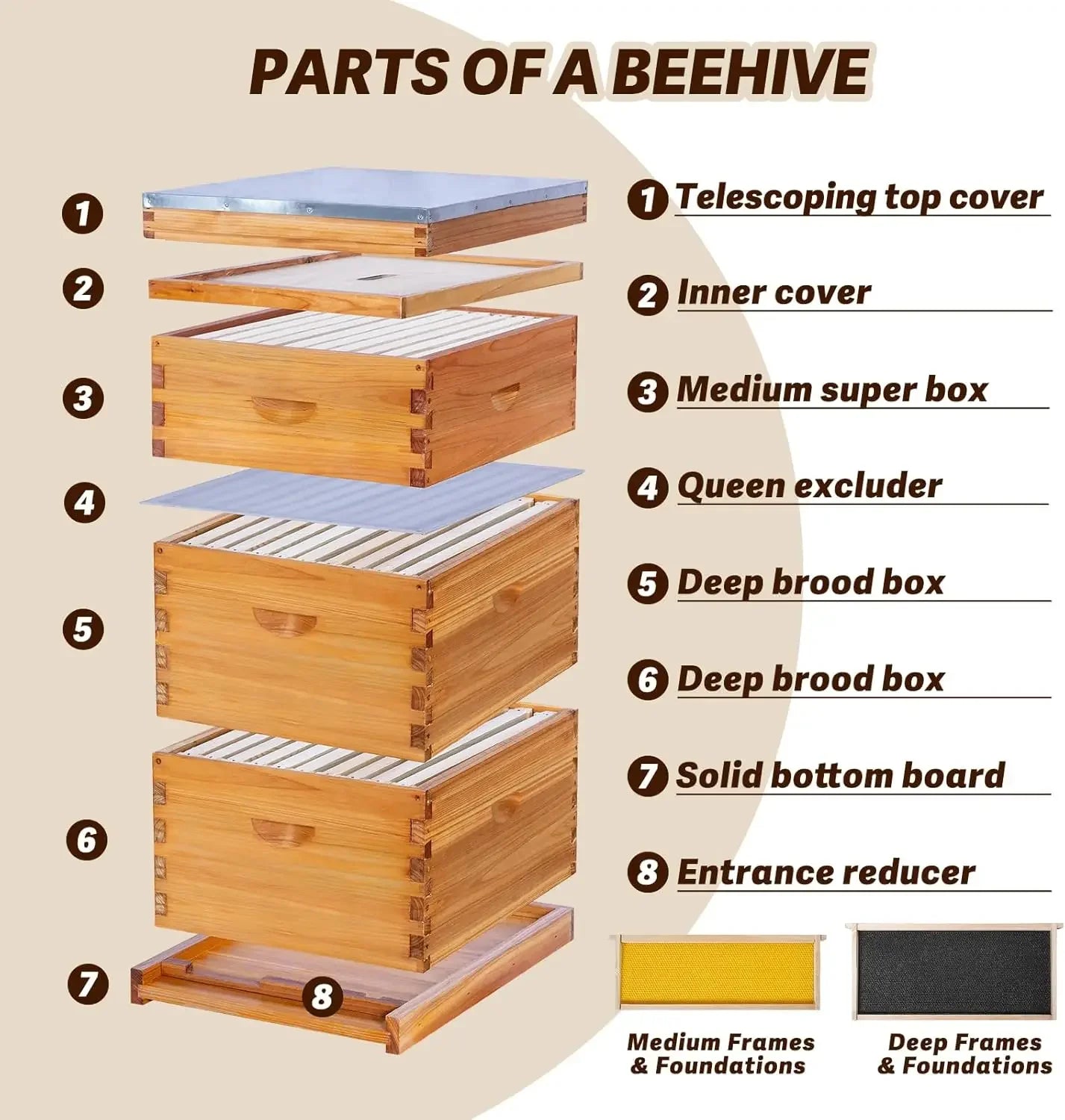 10 Frame Langstroth Beehive Kit With Beeswax Coated Frames