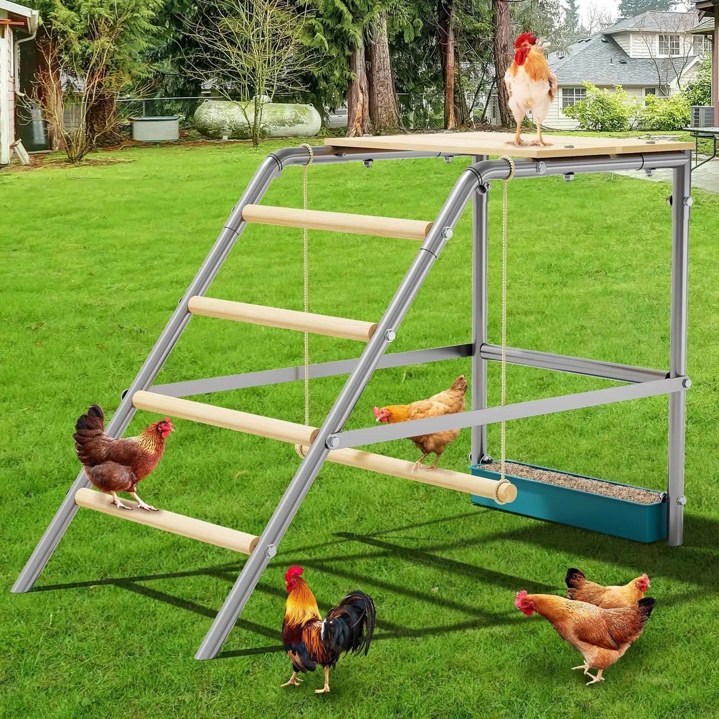 HiMISS Farm Animals Multi-Tier Chicken Roost Galvanized Steel Perch Ladder