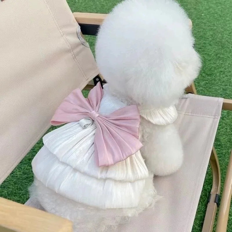 Adorable Cat Dress For Spring Summer Pet Fashion Glimmer Skirt