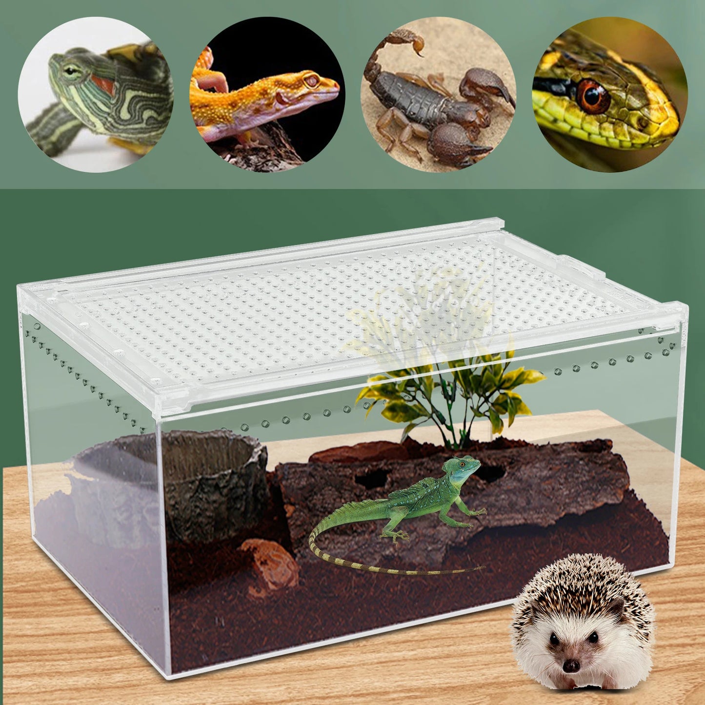 Bymaocar Clear Acrylic Reptile Terrarium With Magnetic Lock Ventilation