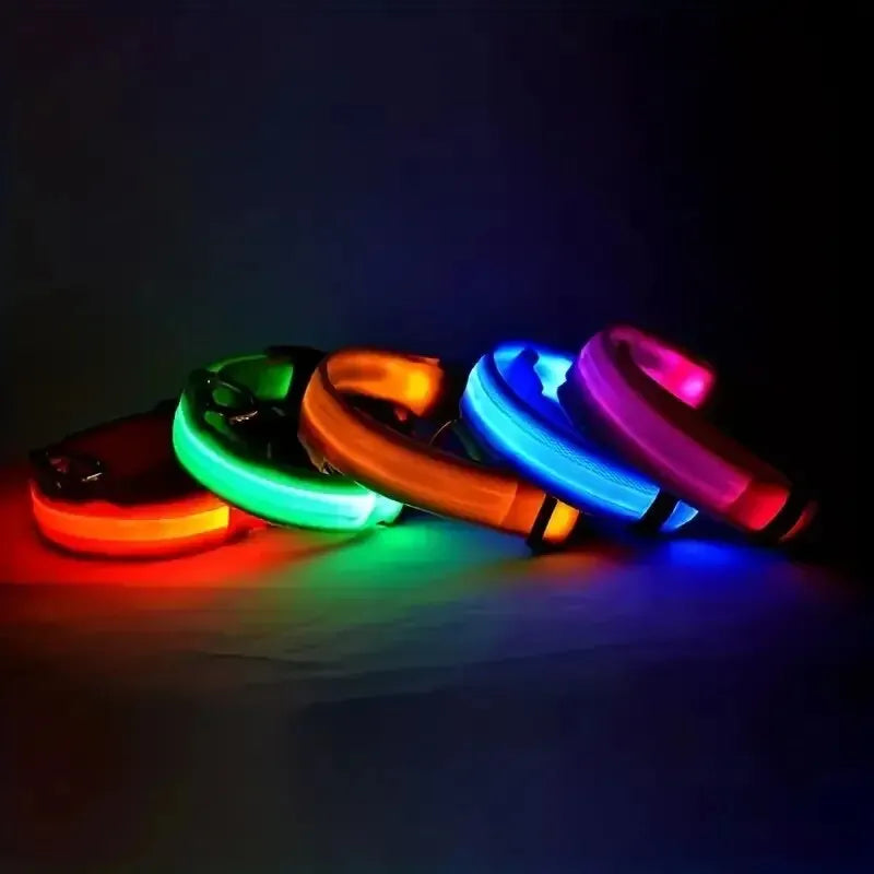 Nylon LED Night Safety Leash And Glow Collar For Pets