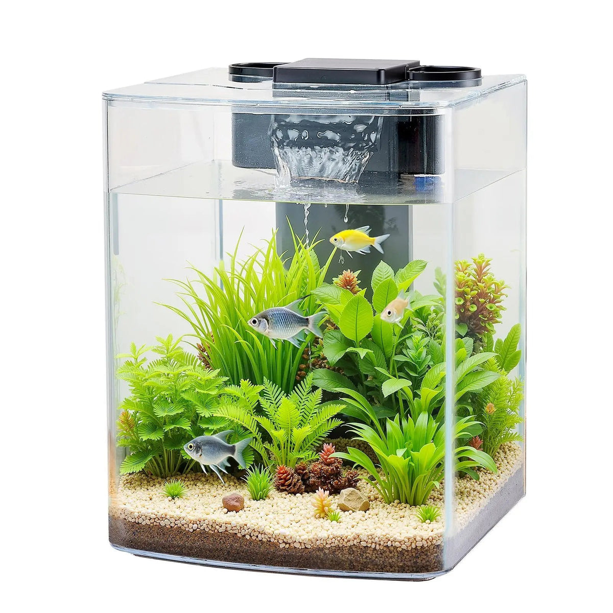 Ultra Clear Arch Fish Tank Aquarium With Reliable Circulation The Pet & Home Store