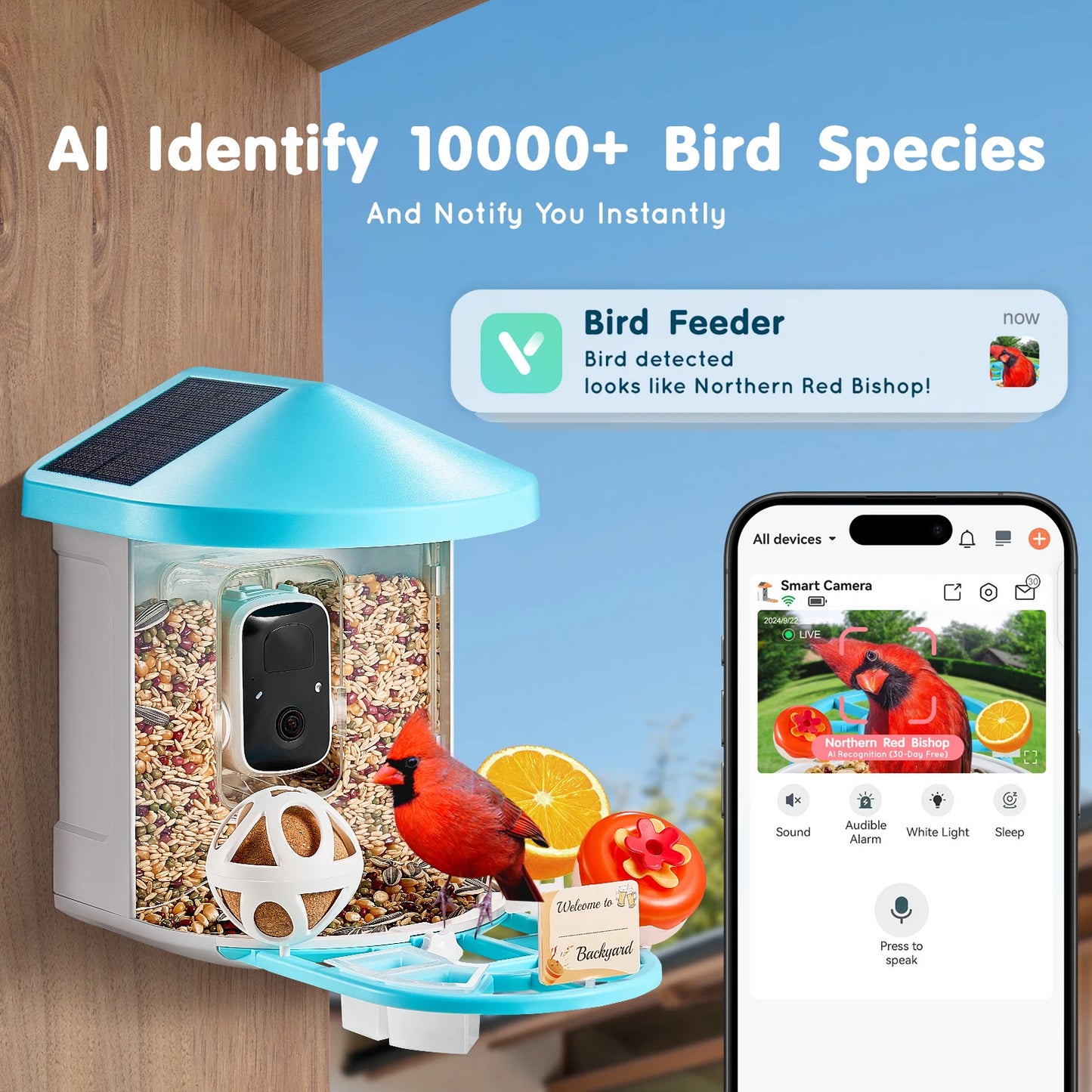 Smart Bird Feeder With Camera 2K HD AI Identify 10000 Species