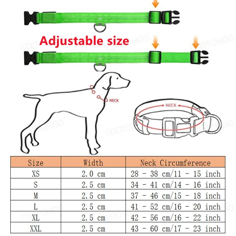 COOYOMOO 3 Mode LED USB Dog Collar With Night Glow