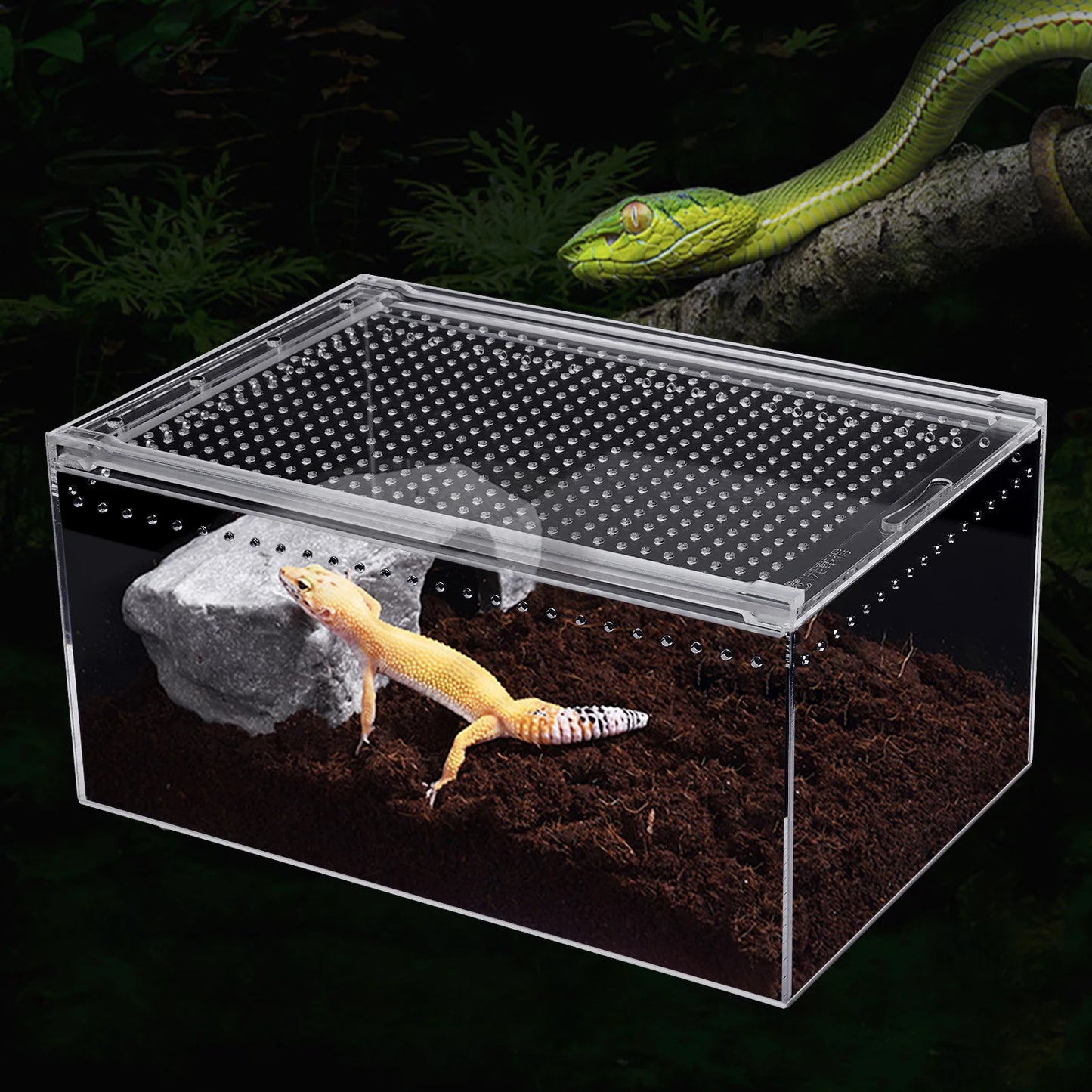 Bymaocar Clear Acrylic Reptile Terrarium With Magnetic Lock Ventilation