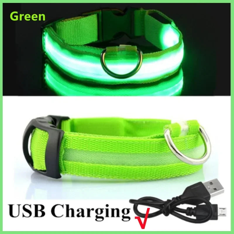 COOYOMOO 3 Mode LED USB Dog Collar With Night Glow