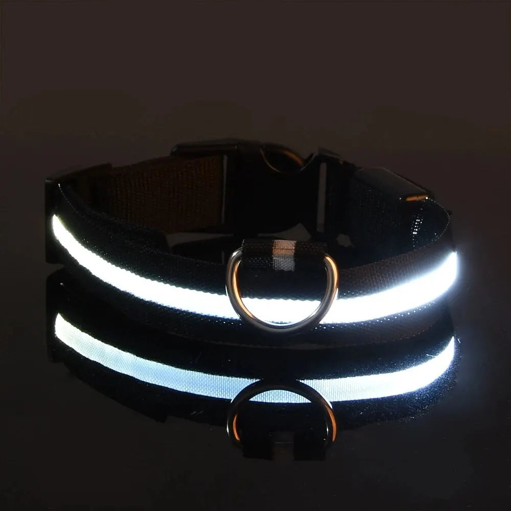 Nylon LED Night Safety Leash And Glow Collar For Pets