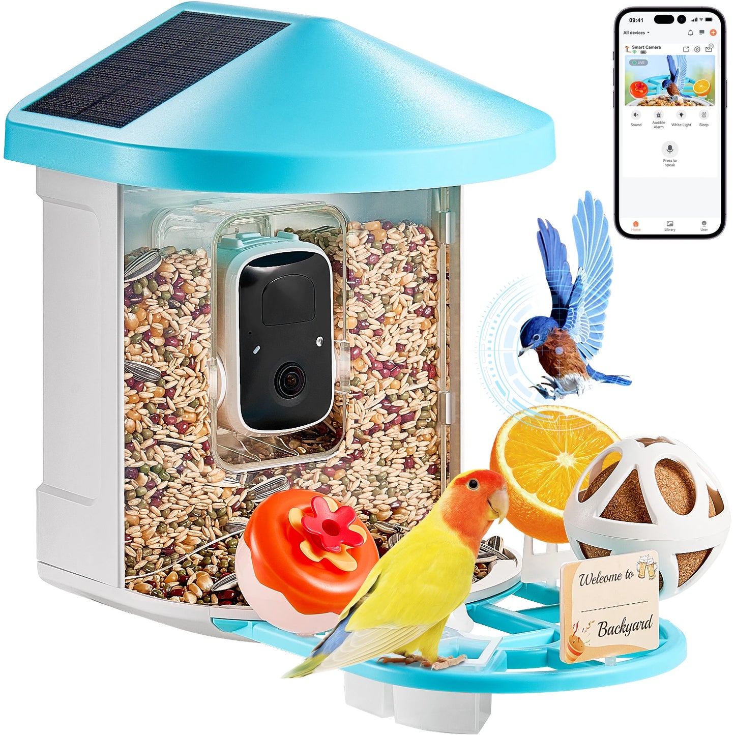 Smart Bird Feeder With Camera 2K HD AI Identify 10000 Species