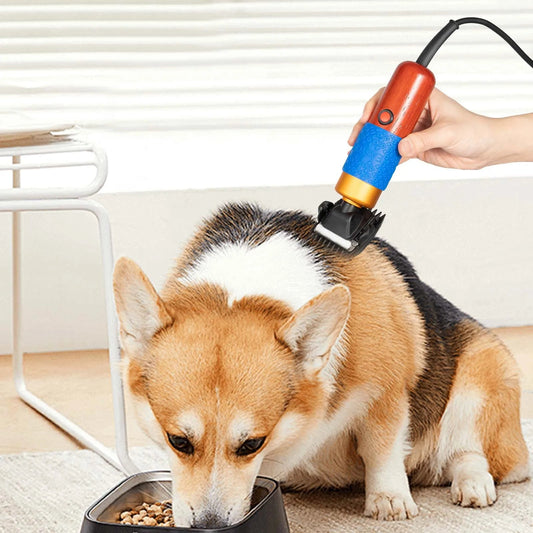 36W Electric Animal Grooming Shaver The Pet & Home Store