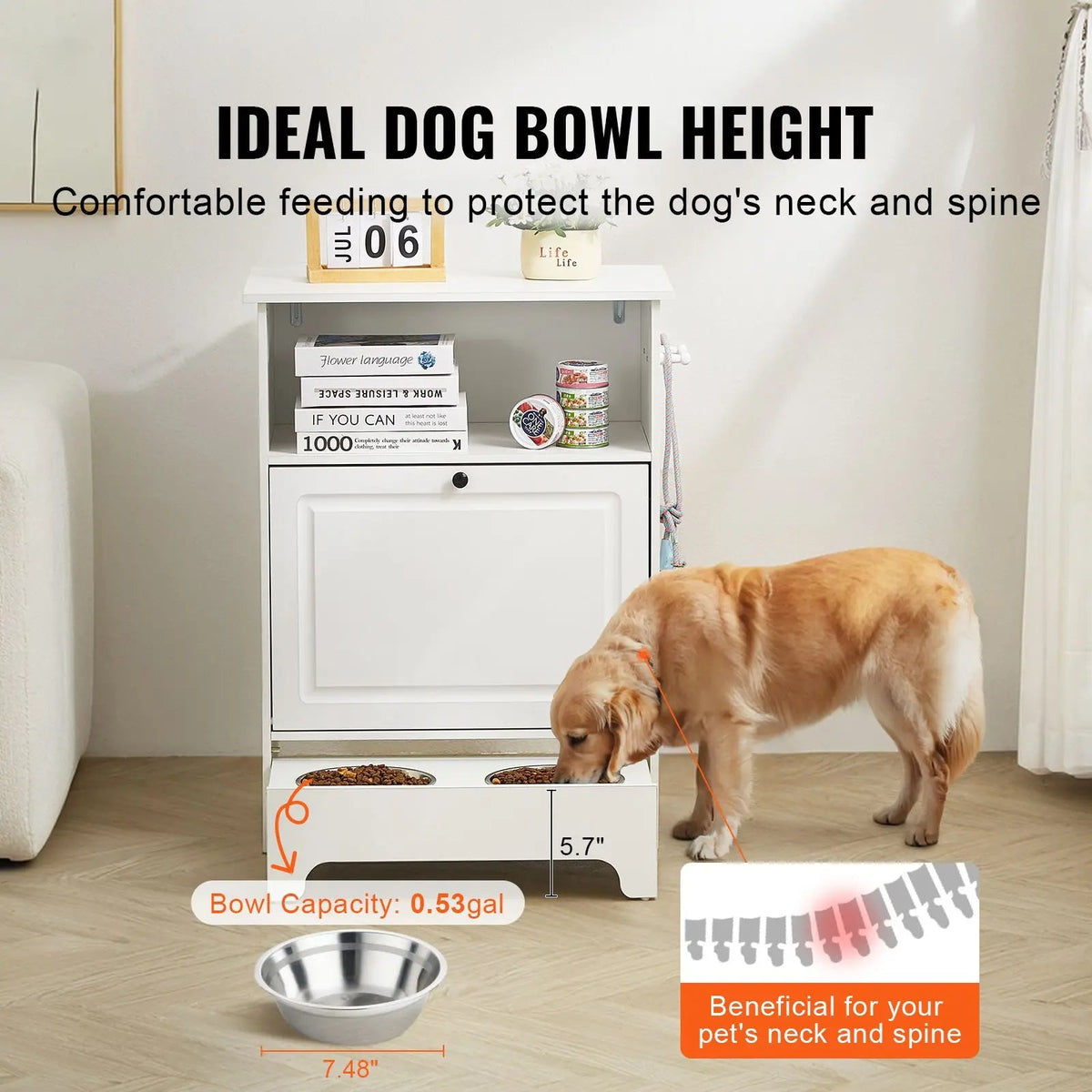 Pet Feeding Station with 2 Stainless Steel Bowls The Pet & Home Store
