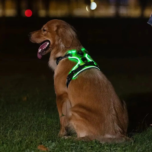 PERNEAKY Light Up LED Dog Harness For Night Walking