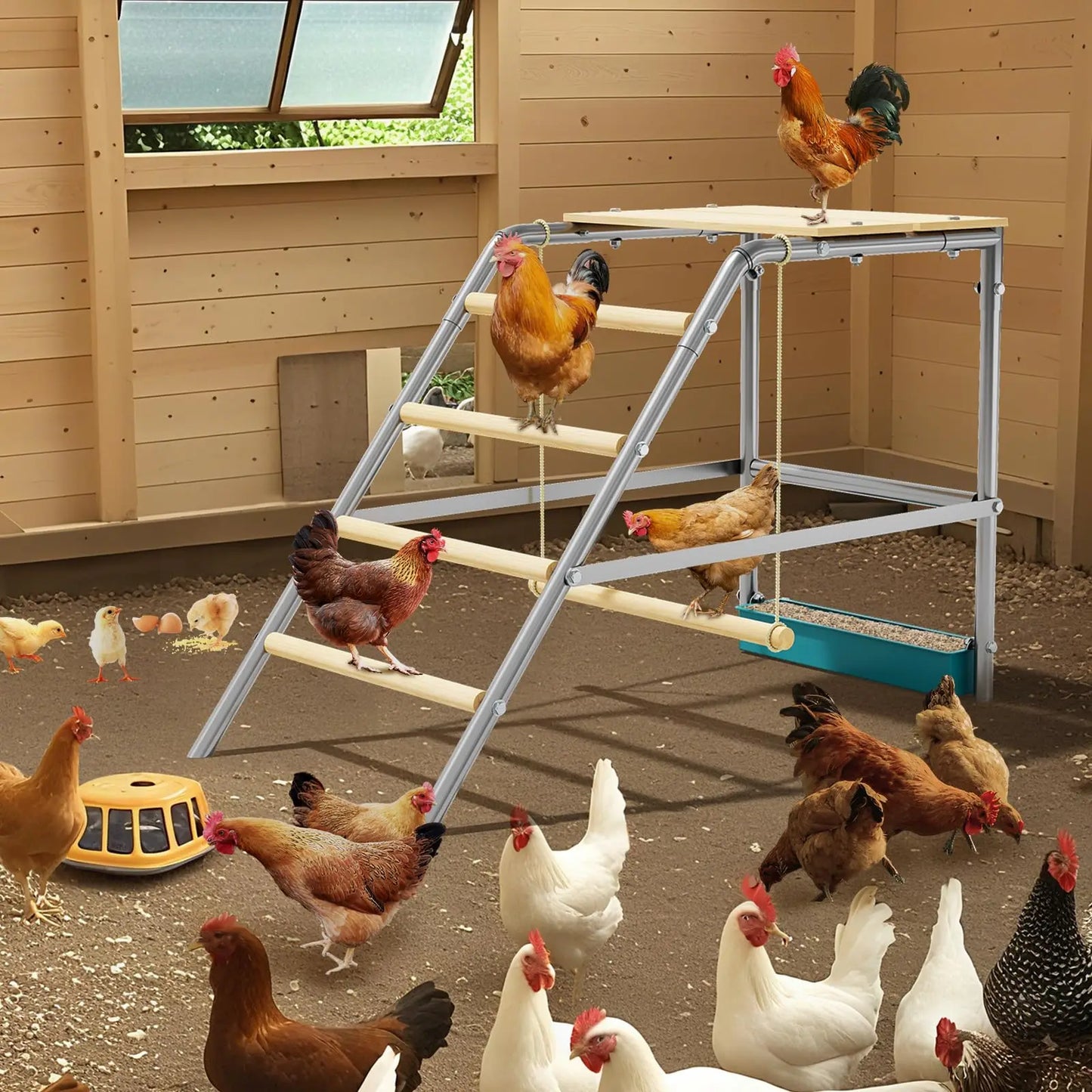 HiMISS Farm Animals Multi-Tier Chicken Roost Galvanized Steel Perch Ladder