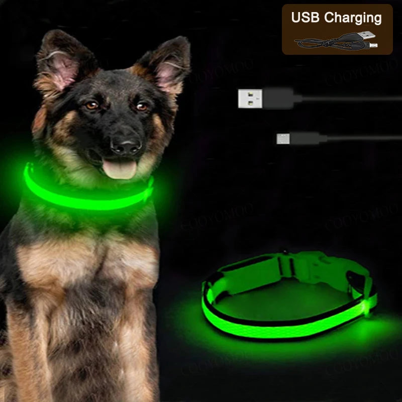 COOYOMOO 3 Mode LED USB Dog Collar With Night Glow