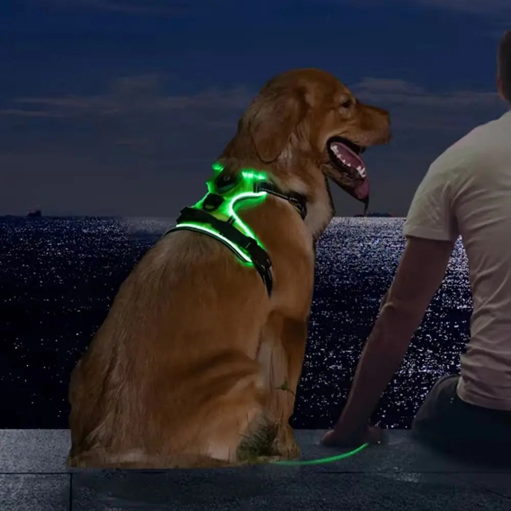 PERNEAKY Light Up LED Dog Harness For Night Walking