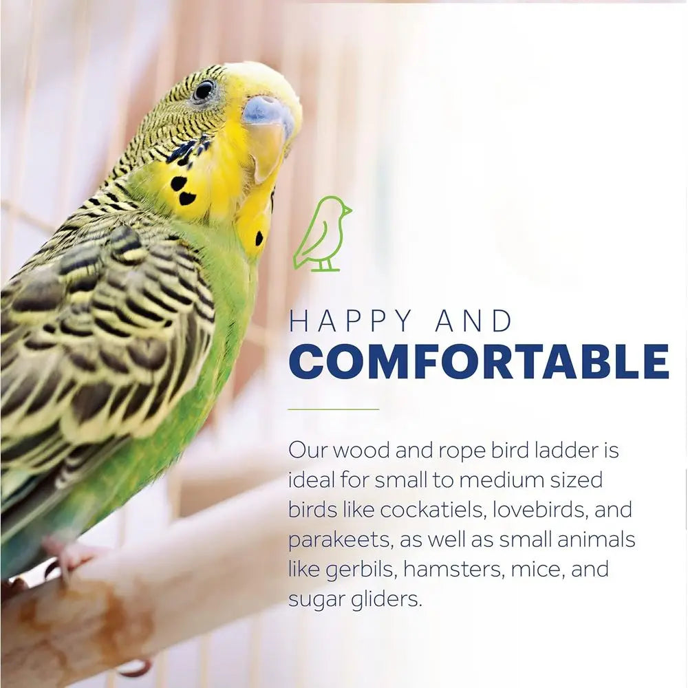 Rope Ladder Toy for Small to Medium Birds: Climbing Exercise, Beak Activity, Mental Stimulation, and Interactive Fun