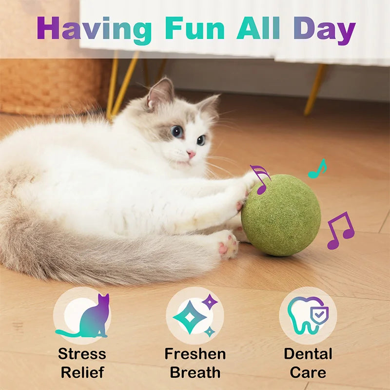 Natural Catnip Ball Toy For Cats Self-Hi Relieving Stuffy Indoor