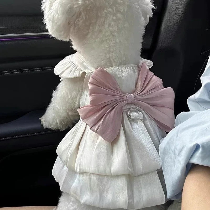 Adorable Cat Dress For Spring Summer Pet Fashion Glimmer Skirt