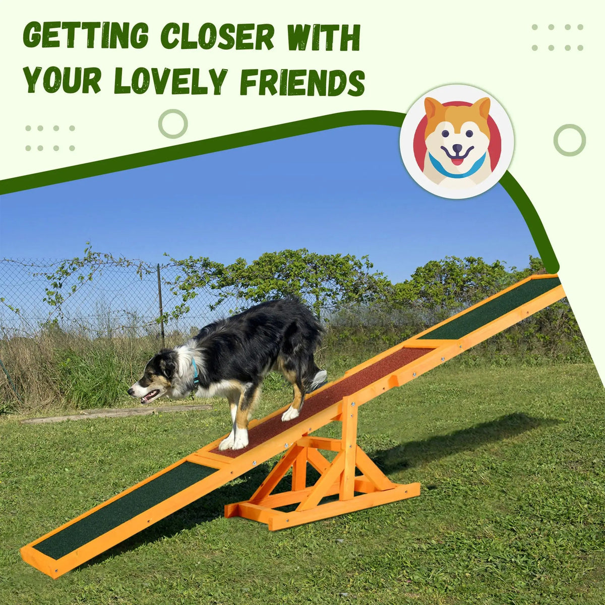 Wooden Dog Agility Training Seesaw Workout Equipment The Pet & Home Store